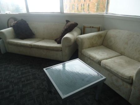 SWEEPING VIEWS OF AUCKLAND HARBOR. SAFE AND SECURE - Photo 4