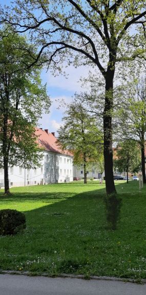 Helle 3-Zimmer-Wohnung mit modernem Komfort in Steyr Münichholz - Ideale Kombination aus Wohnqualität und perfekter Infrastruktur! Erstbezug nach umfassender Sanierung - unbefristet und provisionsfrei! - Photo 1