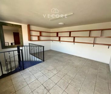 Casa en renta en Jardines del Bosque Centro, Guadalajara, Jalisco - Photo 5