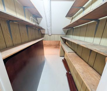 All Inclusive 3 Bedroom Lower unit in Welland! - Photo 2