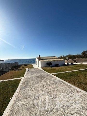 Μονοκατοικία για ενοικίαση Ανάβυσσος - Φωτογραφία 3