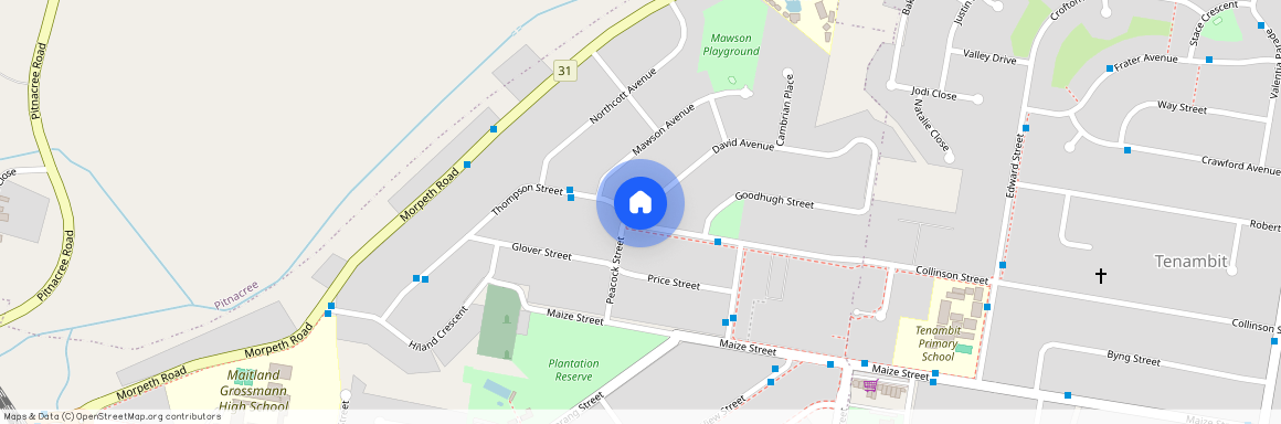 58 Thompson Street, East Maitland NSW 2323