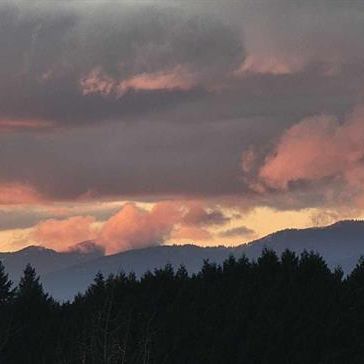 Fabulous One Bedroom with Beautiful View in Convenient North Delta - Photo 1