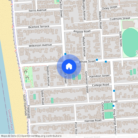 61 Tarlton Street, SA 5044, Somerton Park