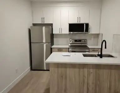 Modern and Spacious 1 Bedroom Basement Suite - 1200 monthly for rent | 3108 Magpie Way Northwest, Edmonton - Photo 1