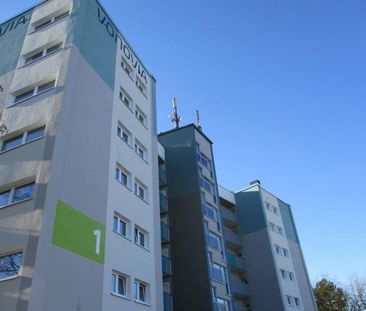 Kleine Wohnung perfekt renoviert - Foto 1