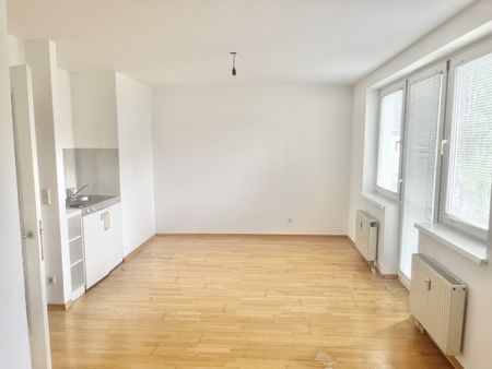 Helle 1-Zimmer Wohnung - Nähe U3 Station Ottakring - Photo 2