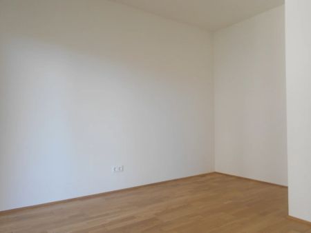 Q5 am PARK 3ZI ruhige Innenhoflage, sonniger West/Balkon - Photo 5