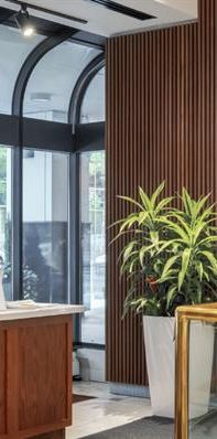 The International - Photo 1