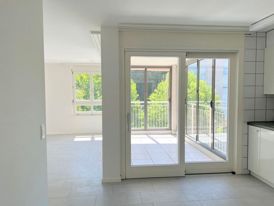 "Attikawohnung mit separater Dachterrasse und fantastischer Aussicht" - Photo 1