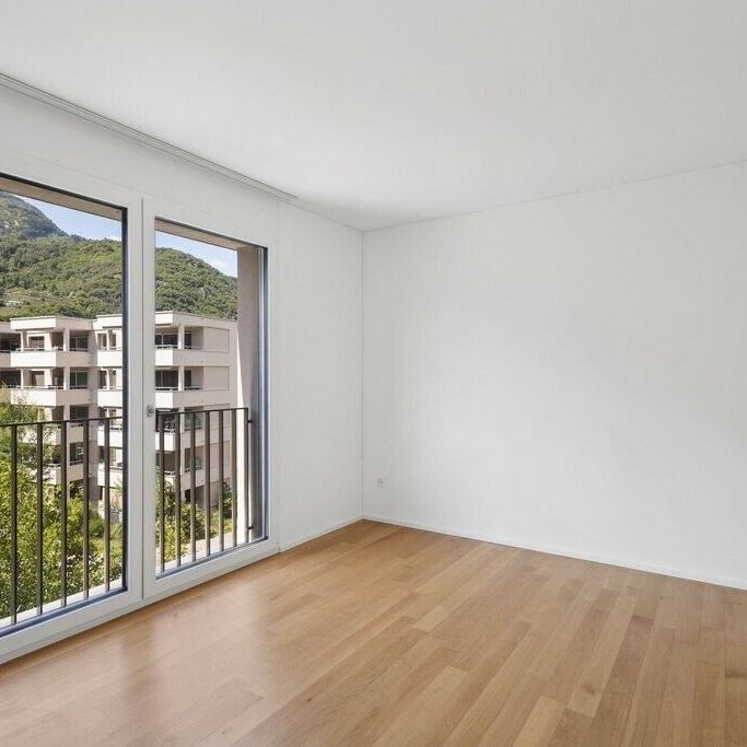 Moderno e luminoso 2.5 locali immerso nel verde - Foto 1