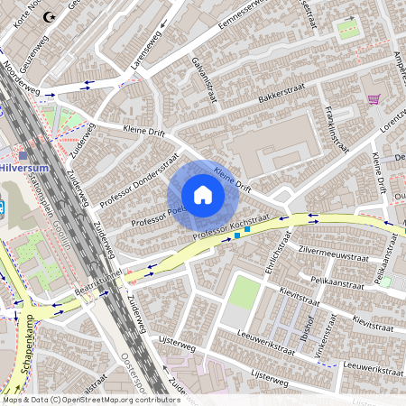 Kleine Driftbuurt, 1221 HR, Professor Poelsstraat, Hilversum