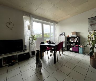 Location appartement 2 pièces, 46.72m², Épinal - Photo 5