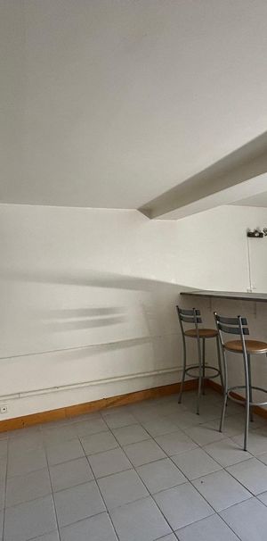 Location Appartement 1 pièce 41m² ST LAURENT SUR SAONE 01750 - Photo 1