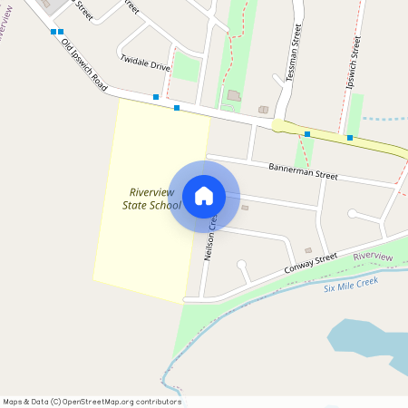 29 Neilson Cres, Qld 4303, Riverview