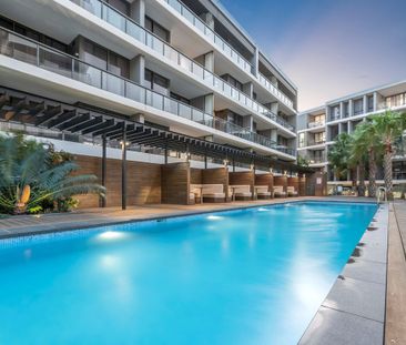 Fabulous, Luxury Inner-City Living - Photo 6