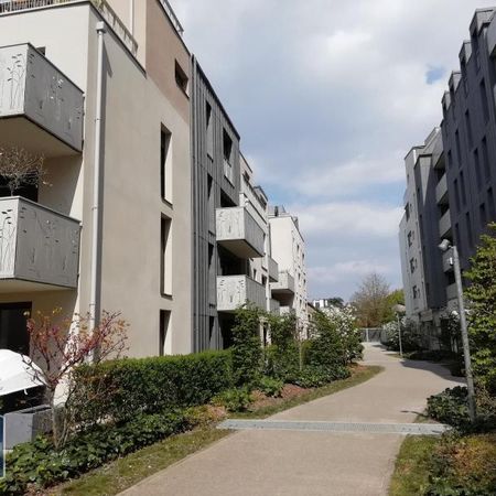 Location Appartement 1 pièce 29m² TOURS 37100 - Photo 3