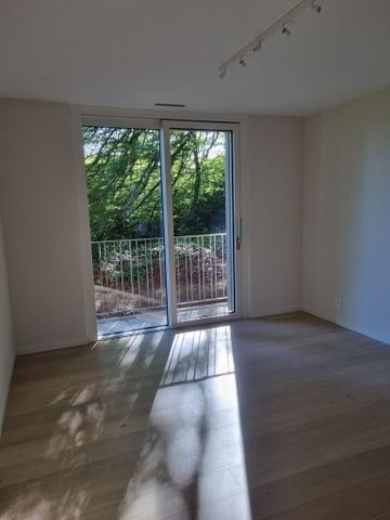 3.5 Zimmer, 77 m², EG - Foto 2