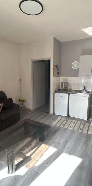 Location Appartement 1 pièce 36m² ST ETIENNE 42100 - Photo 1