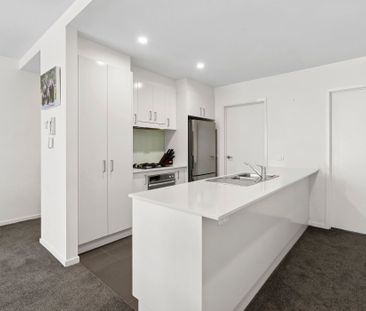 Superbly located Light Filled Apartment! - Photo 6