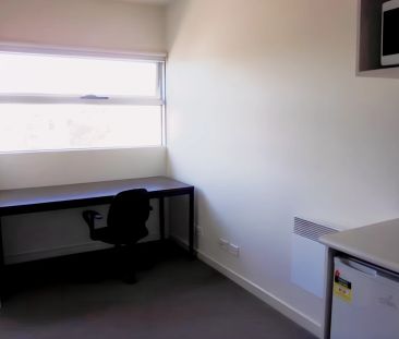 Standard 1 Bedroom - Photo 1