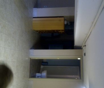 Mcmaster Student House - Photo 1