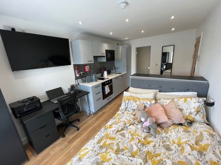 High Quality High Specification Student House - Individual Self Contained Suites - Photo 4