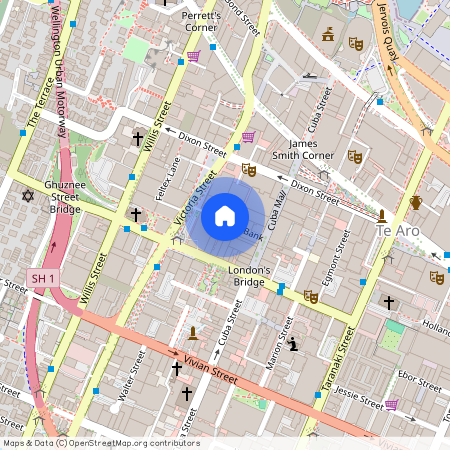 254/21 Left Bank, Te Aro, Wellington City