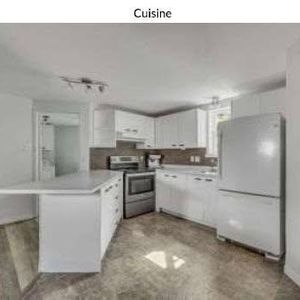 3 1/2 à louer à Lévis - Desjardins - Photo 3