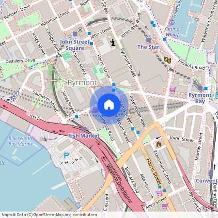 3 Little Mount Street, NSW 2009, Pyrmont