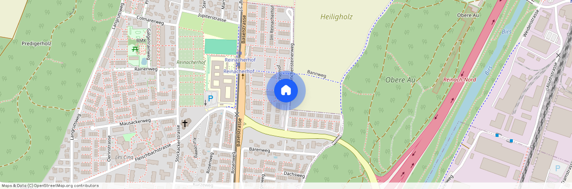 Im Reinacherhof 61-69a, 4153, Reinach Bl