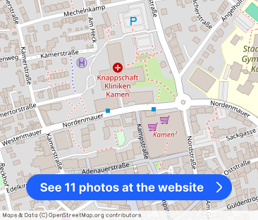 Besonderes Wohnflair im modernisierten Altbau - Photo 1