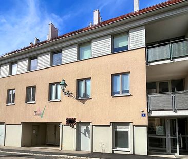 Wohnung in Pulkau - Photo 2