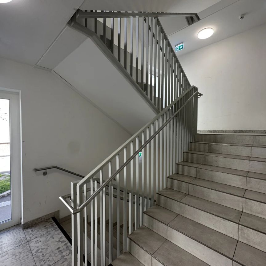 Schöne 3-Zimmer Wohnung in absoluter Ruhelage und zentraler Begehbarkeit! - Photo 1