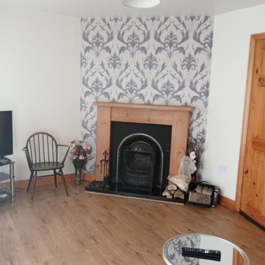 7 Chestnut Drive, Bailieborough, Co. Cavan. - Photo 1