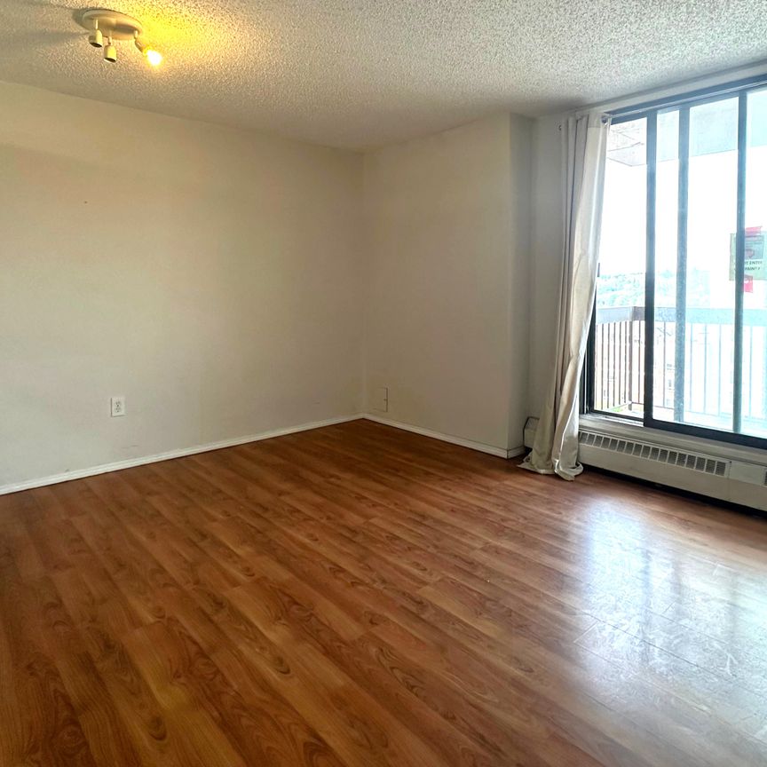 Charming Bachelor Suite With Scenic River Views In Chinatown | Utilities Included. - Photo 1