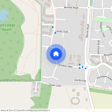 Carnation Way, Bury St. Edmunds IP28