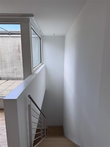 3.5 Zimmer, 95 m², 5. Stock - Foto 5