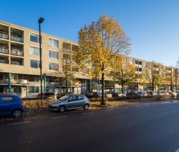 Te huur: Appartement Aartsbisschop Romerostraat in Utrecht - Foto 1