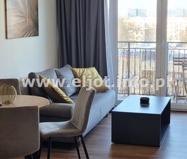 Dąb, Katowice - Photo 4