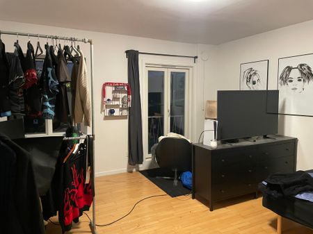 Dejlig 3-værelses ved Botanisk Have - Photo 5