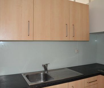 Location Appartement 2 pièces 50m² ALTKIRCH 68130 - Photo 1
