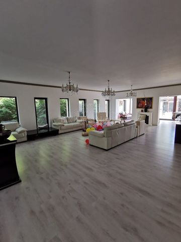 Fantastic Pavillion House in Exclusive Compound, Otopeni - Fotografie 4