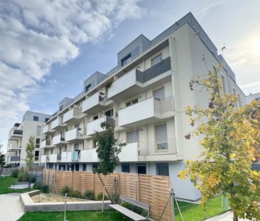 Wohnung perfekt für Pärchen mit Freifläche - Nähe Kagraner Platz - Foto 4