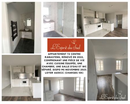 Location Appartement 2 pièces 38m² RABASTENS 81800 - Photo 2