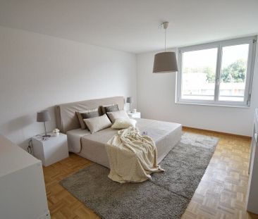 Your new home happiness - Photo 4