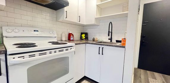 1 CH - 1 SDB - Montréal - $1,250 /mo - Photo 2