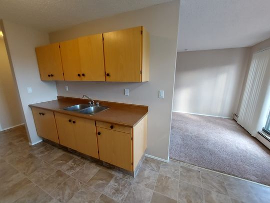 Dog Friendly 2 Bedroom Apartment! - Photo 1