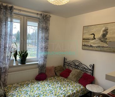 Grodzisk Mazowiecki - Zdjęcie 3