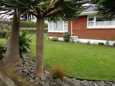 One Tree Hill 2 bdrm gem - Photo 5